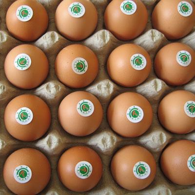 ������ɽ�i���r(n��ng)�a(ch��n)Ʒ���޹�˾���a(ch��n)�ğo�����u��